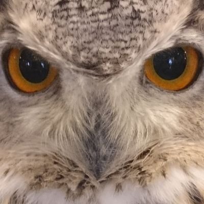 @Demico0000 profile picture
