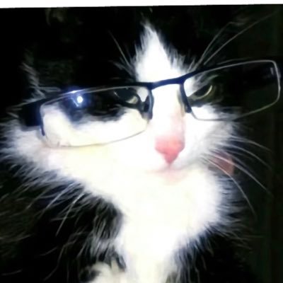 @qcy123kn profile picture