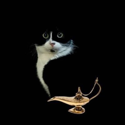 @FENDSON0069 profile picture
