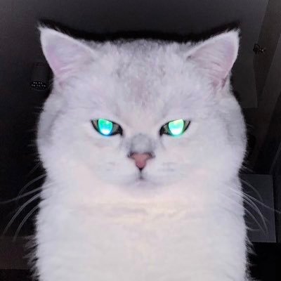 @0507Huihui profile picture
