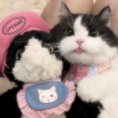@1116szx profile picture