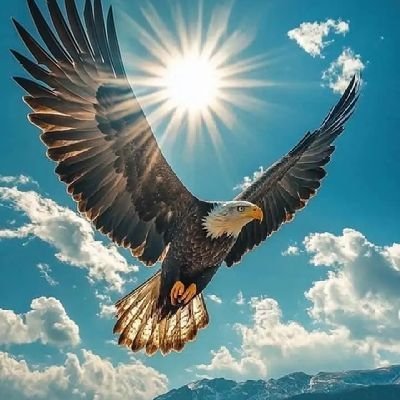 @swd16671 profile picture