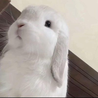 @lienxiubaby profile picture
