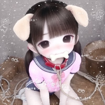 @shuitao6u6 profile picture