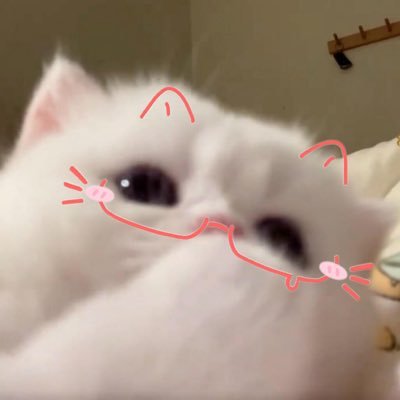 @kamiai18 profile picture