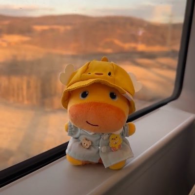 @zoyke007 profile picture