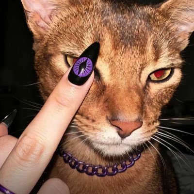 @zoyke002 profile picture