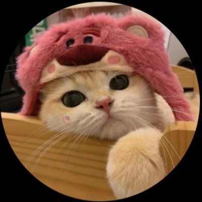 @AshleighUSA profile picture