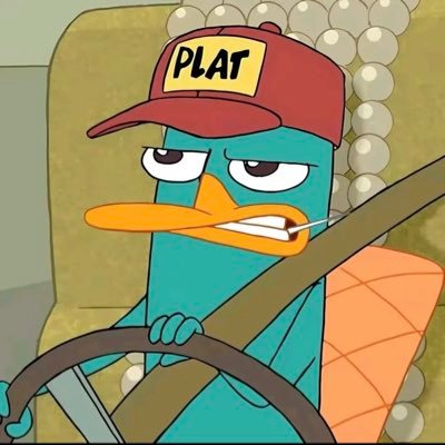 @wwwwsssssssst profile picture