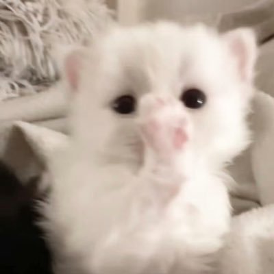 @losepn profile picture
